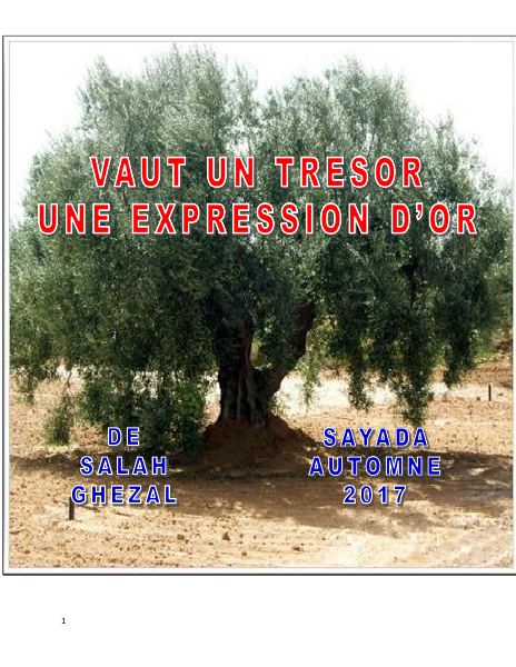 Couverture du livre Vaut un trésor une expression d’or